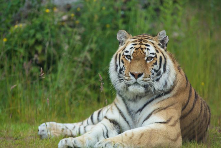 CityNorth Hotel and Conference Centre | Meath | 2