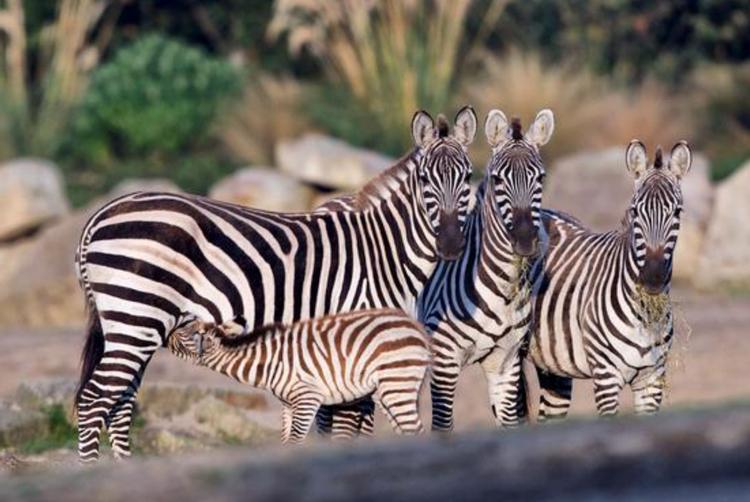 CityNorth Hotel and Conference Centre | Meath | 3