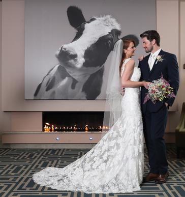 CityNorth Hotel and Conference Centre | Meath | Gallery 41