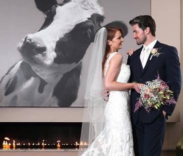 CityNorth Hotel and Conference Centre | Meath | Gallery 41
