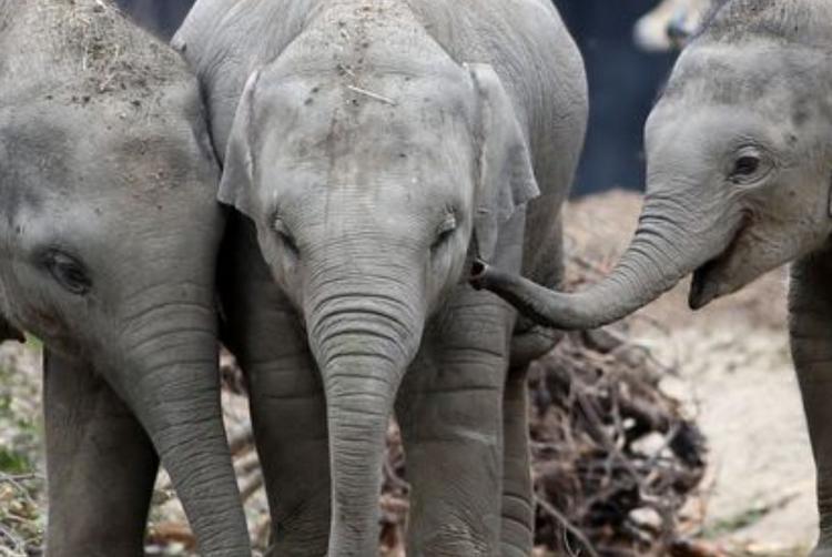 CityNorth Hotel and Conference Centre | Meath | 2