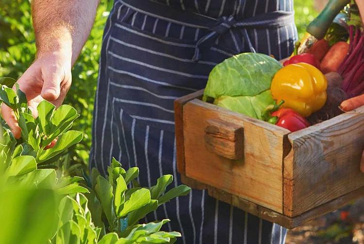 CityNorth Hotel and Conference Centre | Meath | 5