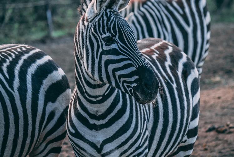 CityNorth Hotel and Conference Centre | Meath | 3