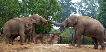 CityNorth Hotel and Conference Centre | Meath | Gallery 4