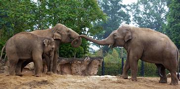 CityNorth Hotel and Conference Centre | Meath | Gallery 4