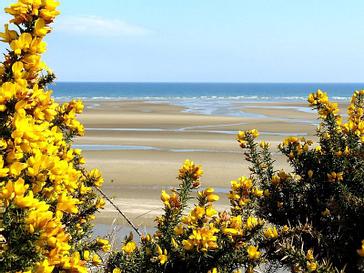 CityNorth Hotel and Conference Centre | Meath | Gallery 2