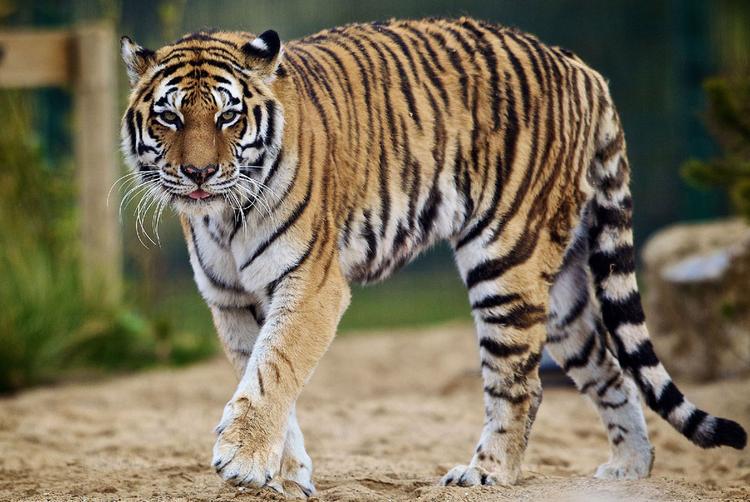 CityNorth Hotel and Conference Centre | Meath | 1